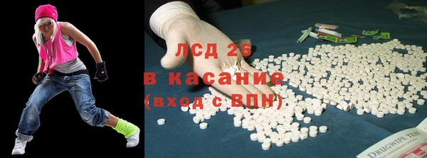 PSILOCYBIN Баксан