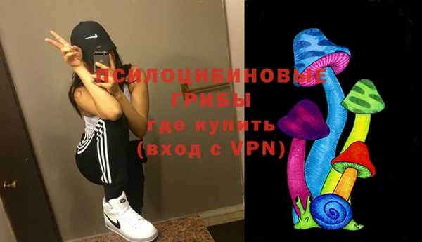 PSILOCYBIN Баксан