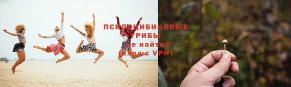 PSILOCYBIN Баксан