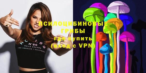 PSILOCYBIN Баксан